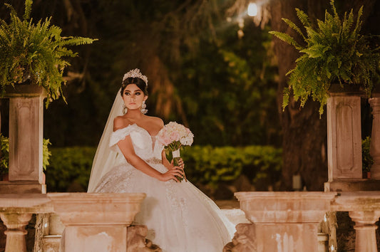 VESTIDO DE NOVIA CORTE PRINCESA BORDADOS – MI VESTIDO BLANCO NOVIAS